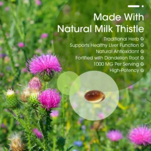 Milk Thistle Capsules